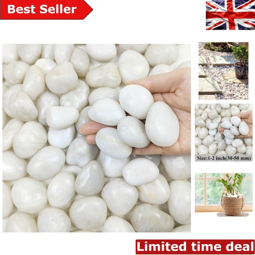 Multi purpose lbs white - 2,
