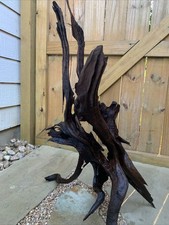 X-Large Sized Natural Unique