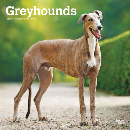 Greyhounds 2027 calendar - 2027,