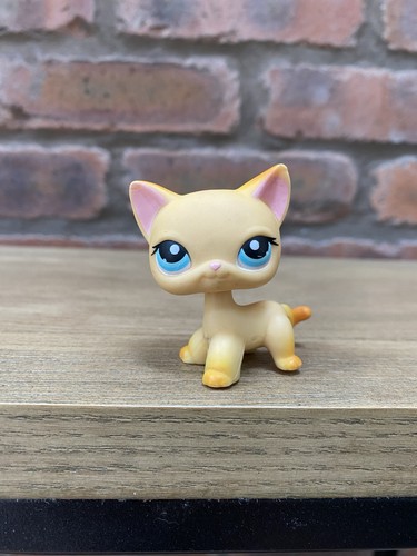 Littlest pet shop cat short - littlest,