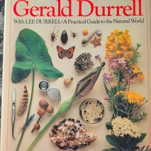 The amateur naturalist - amateur,
