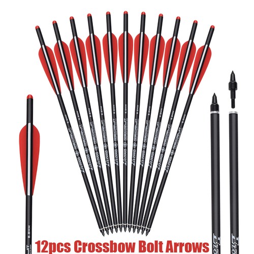 Carbon arrows bolts target - carbon,