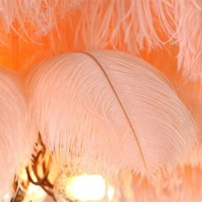 Peach Blush Pink 100 Pieces