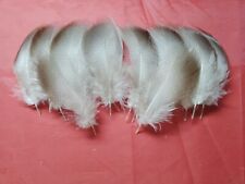 20 Medium Mallard Bronze Hackle Feathers 4" / 10cm - Fly Fishing