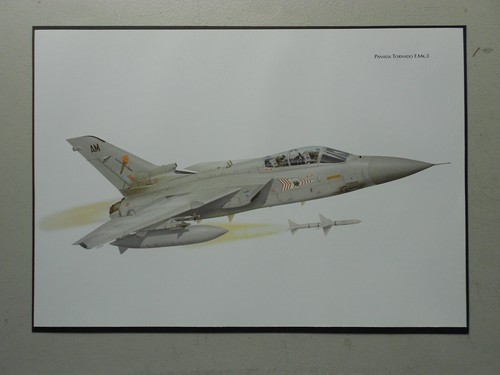 Military aviation print - military,