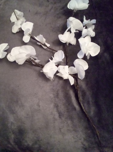 20pcs white faux orchids - faux,