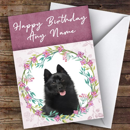 Schipperke dog pink - schipperke,
