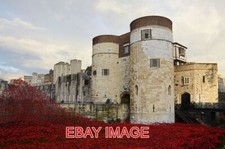 PHOTO  TOWER OF LONDON POPPIES