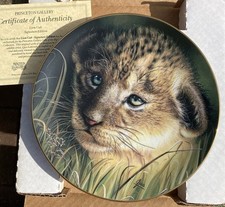 Princeton Gallery Cubs of the
