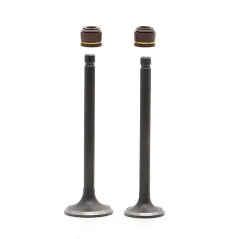 Intake exhaust valves honda - &,