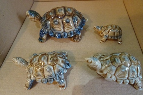 Bundle wade tortoises - 4, *wade*