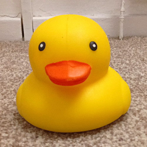Big yellow squishy duck - squishy,