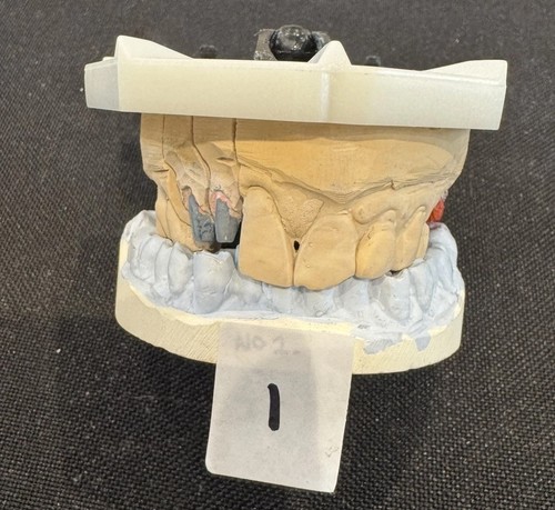 Rare plaster cast impression - rare,