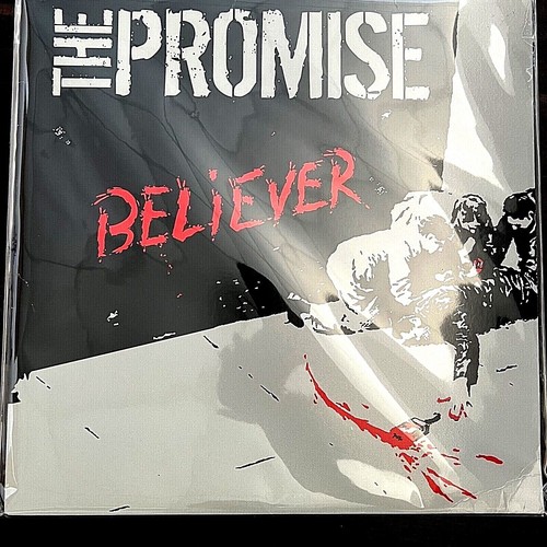Rare vinyl record the - rare,