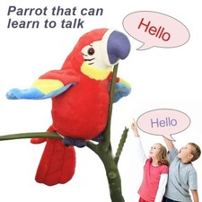 Repeat parrot talking birds - repeat,