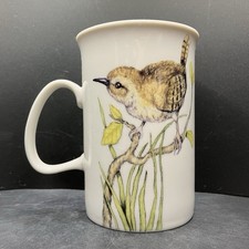 Scotts of Stow Wren Bird