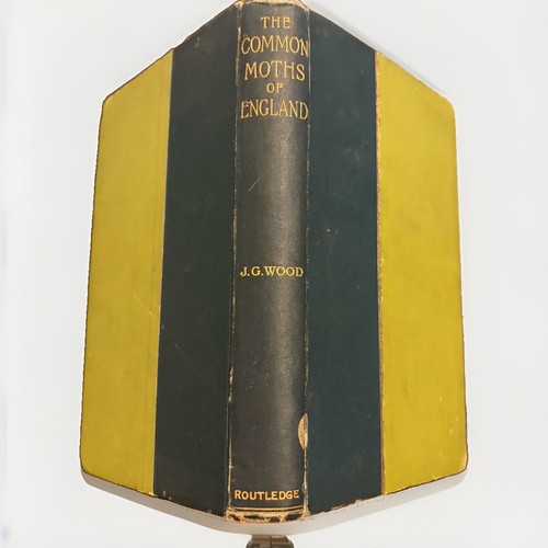 The common moths england - common,