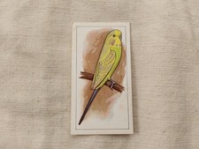 Caperns Picture Avery #8 Grey