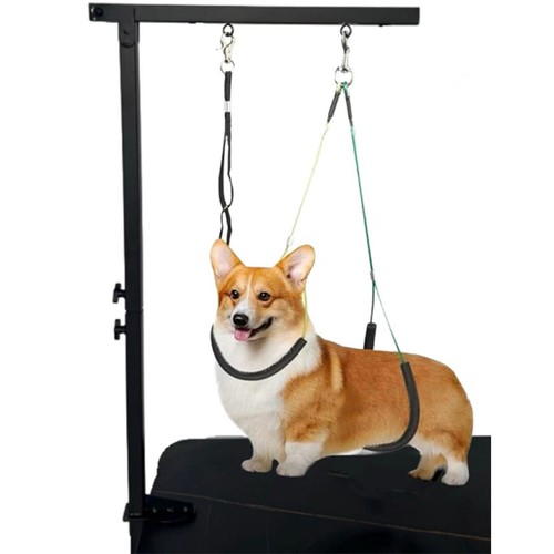 Pet grooming table arm - grooming,