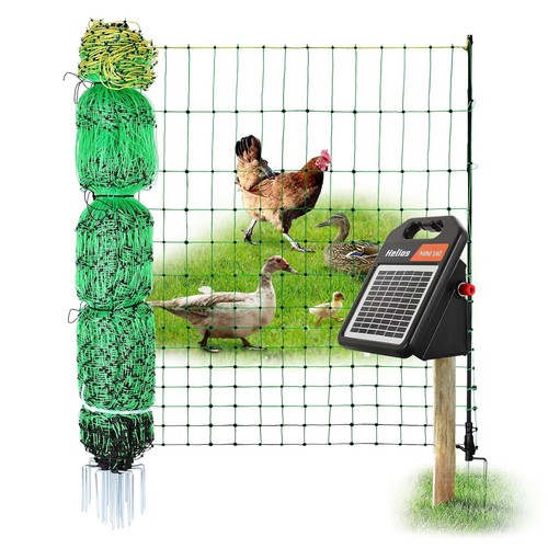 Electric fence chicken - fence,