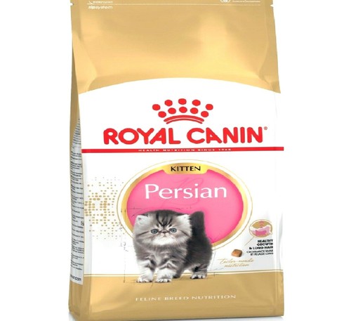 Persian kitten - kitten, (400g