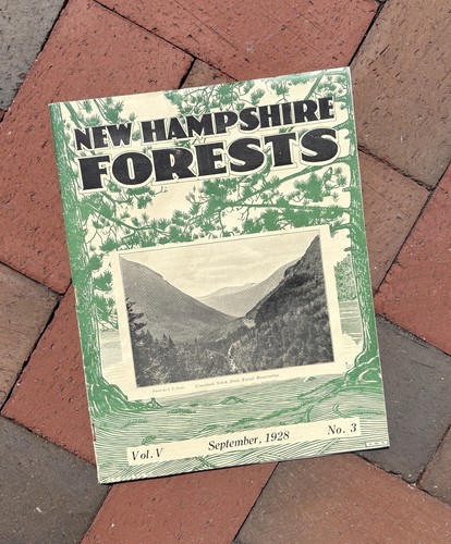 1928 new hampshire forests - 1928,