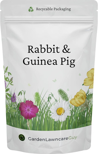 Rabbit guinea pig - rabbit,