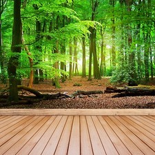 Non woven Wall Mural Photo