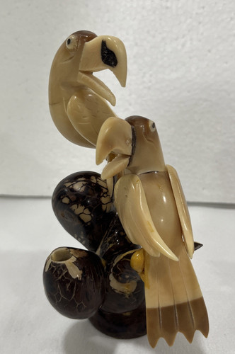 Parrots bird tagua nut carved - parrots,