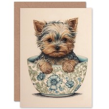 Cute Teacup Yorkshire Terrier