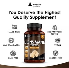 Lions Mane Extract Mushroom