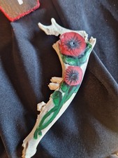 Genuine Fallow Deer Jaw Bone