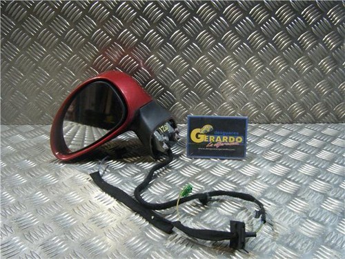 Left electric wing - wing, mirror