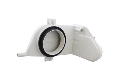 Glow worm cxi - glow-worm,