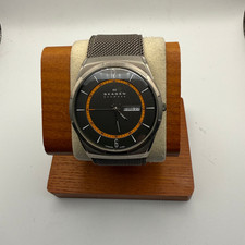 Skagen Denmark Titanium