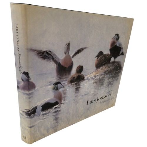 Lars jonsson birds light art - light,