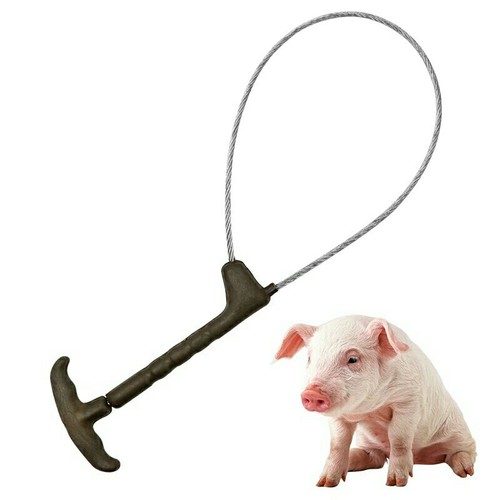 Pig piglet fixed wire - pig/piglet, rope