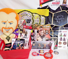 NEW WWE KIDS TOY GIFT BASKET