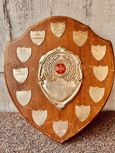 Big trophy shield 12 - trophy,