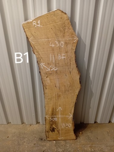 Spalted beech live edge - live,