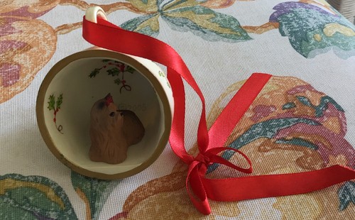 Yorkshire terrier teacup - terrier,