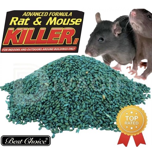 Rodent poison bait killer - rodent,
