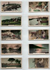 Cavanders: The Homeland Series