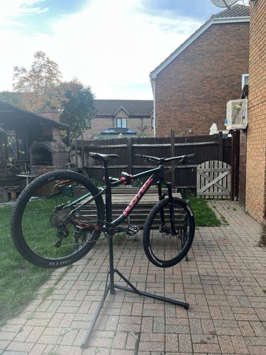 Kona honzo 2019 - 2019, 29”