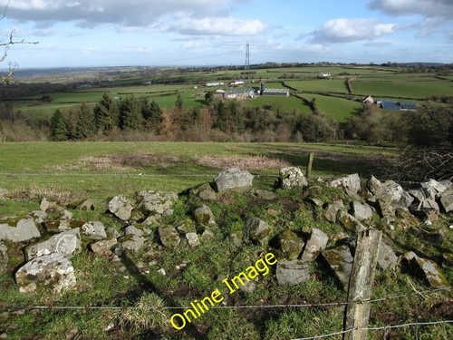 Photo 6x4 across grazing land - photo,