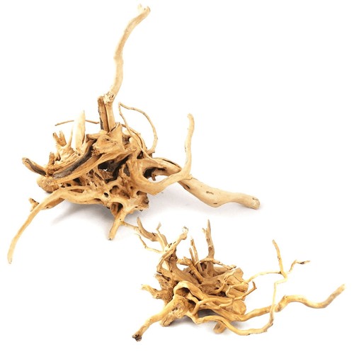 Aqua one azalea root spider - aqua,