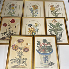 Botanical Watercolour Painting Prints x 8 - 12" x 9" Approx                 K12