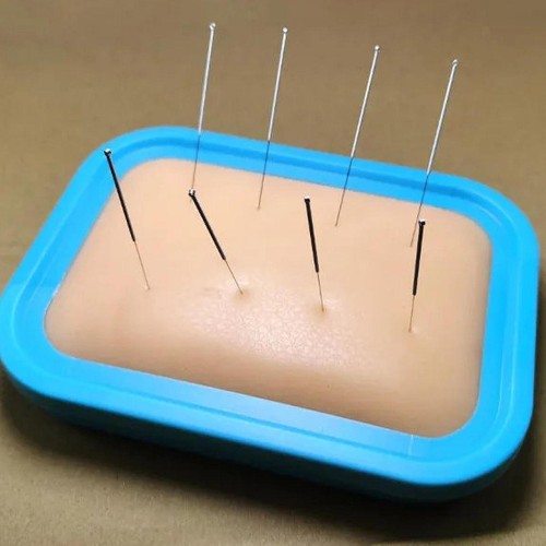 Acupuncture pad skin model - acupuncture,