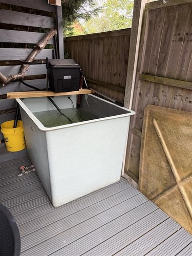 Holding quarantine grow on - holding,