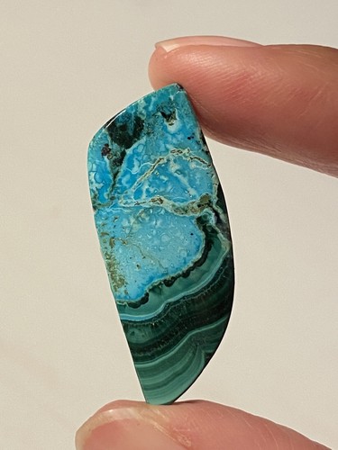 Malacholla cabochon 1530 - cabochon,